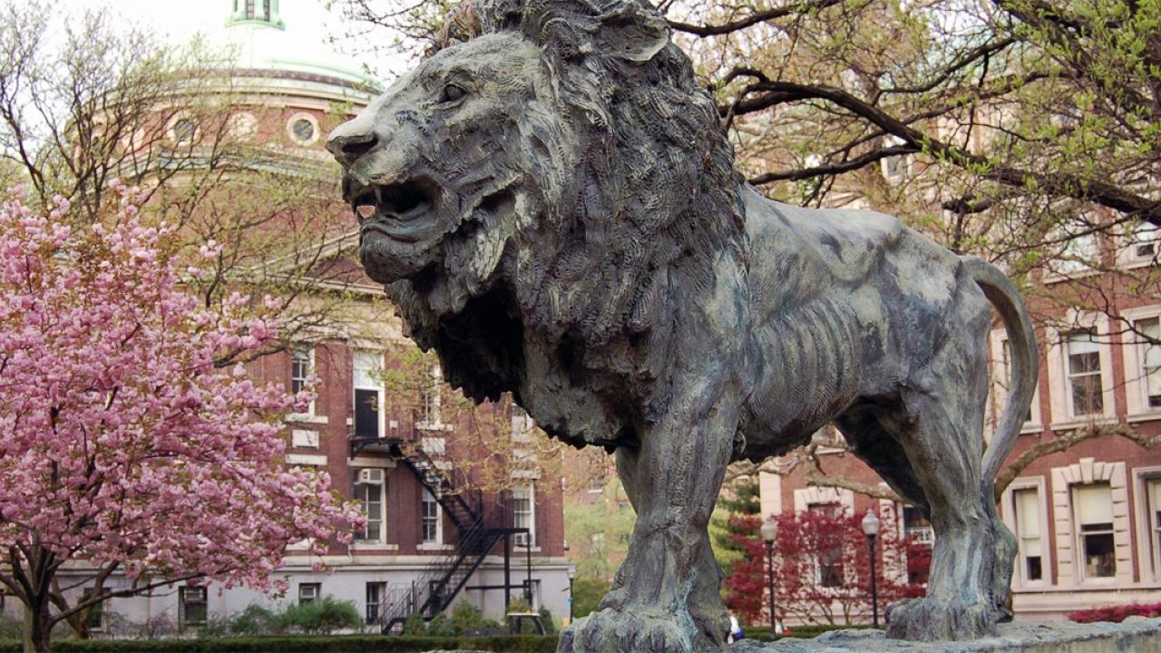 Salary & Benefits | Columbia Neurology