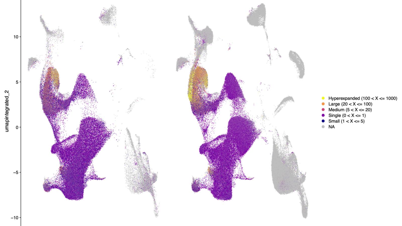 Translational Neurobiology research image 3