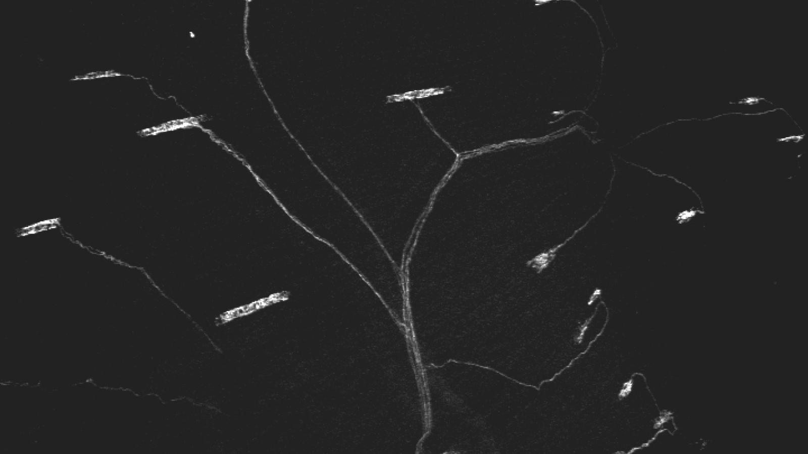 Translational Neurobiology research image 1