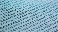 Picture of DNA code