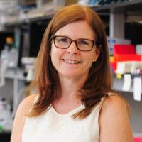 Carol M. Troy, MD, PhD Profile Headshot