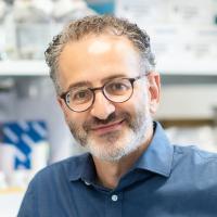 Wassim Elyaman, PhD Profile Headshot