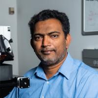 Raju Tomer, PhD