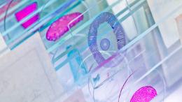 Research Projects Columbia Neurology
