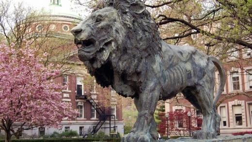Salary Benefits Columbia Neurology